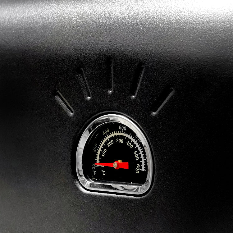Temperature Gauge
